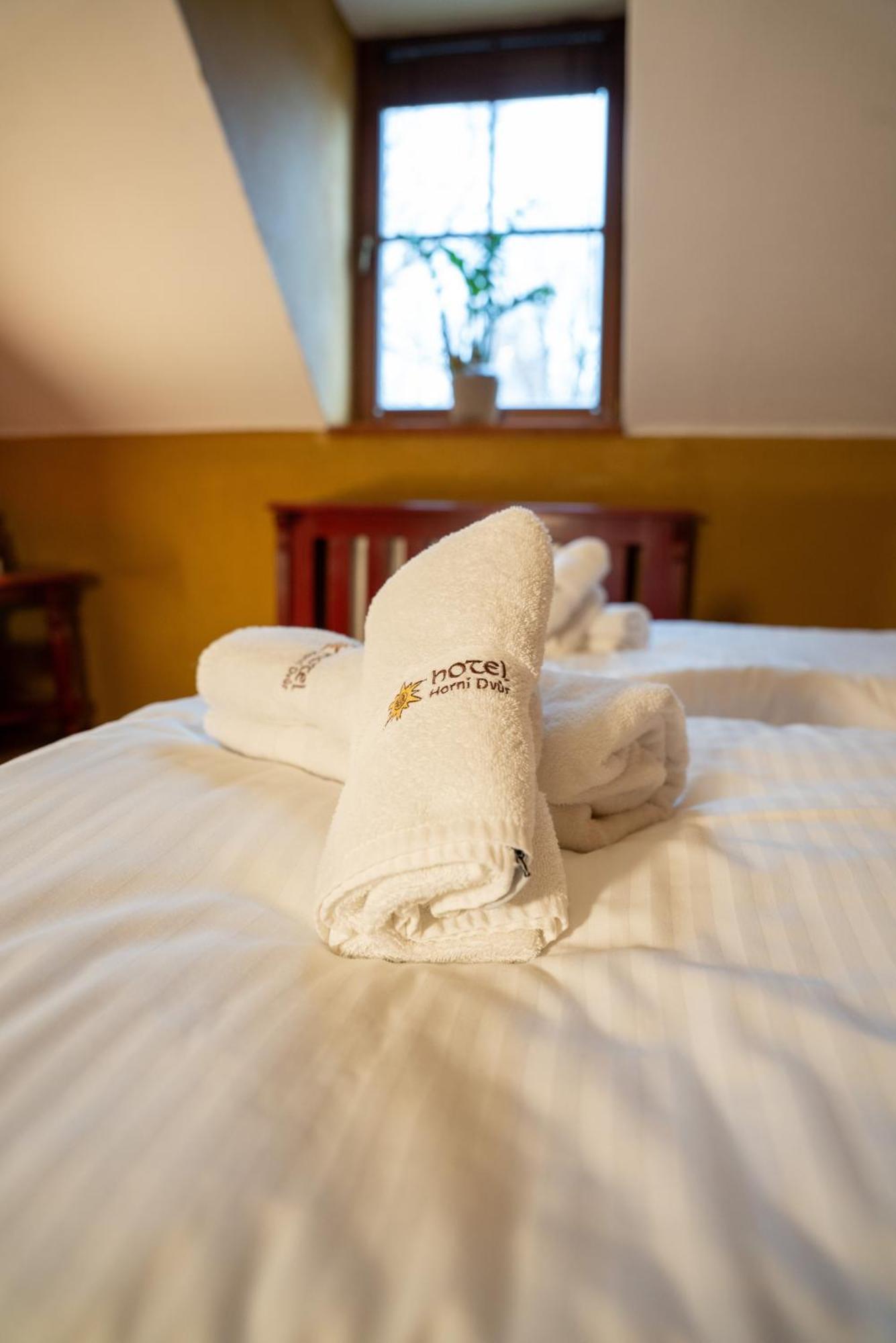 Hotel Horni Dvur Nove Mesto na Morave Bagian luar foto